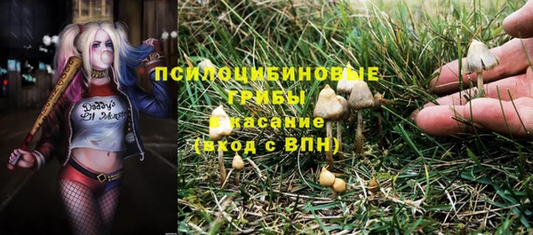 дурь Саяногорск