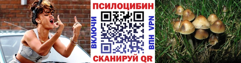 Псилоцибиновые грибы ЛСД  сколько стоит  Давлеканово 